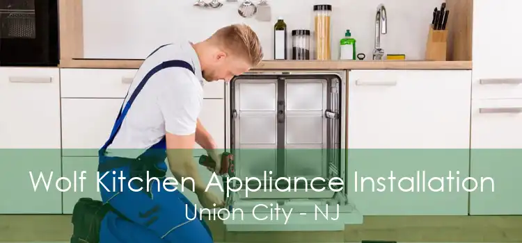 Wolf Kitchen Appliance Installation Union City - NJ