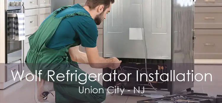 Wolf Refrigerator Installation Union City - NJ