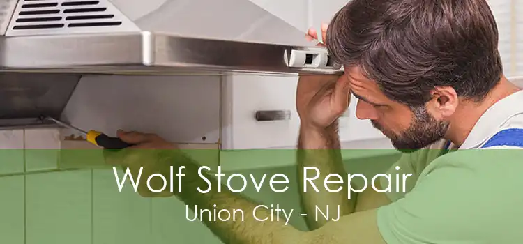 Wolf Stove Repair Union City - NJ